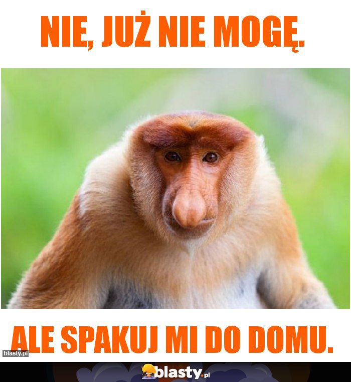 Nie, już nie mogę.
