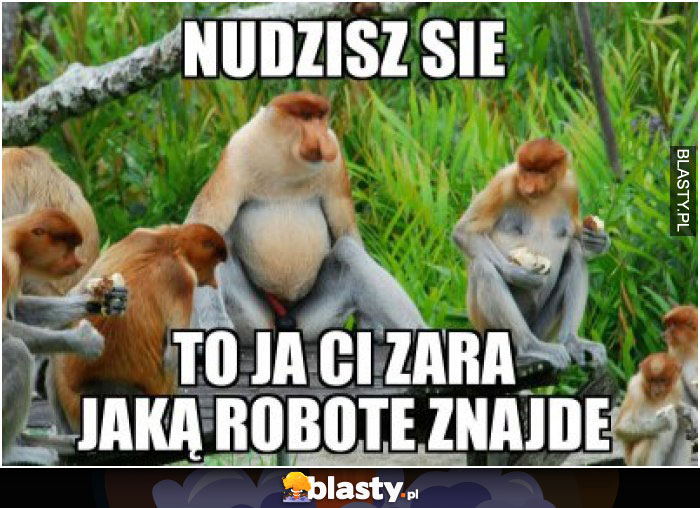 Nudzisz się ? to ja Ci zaraz jaką robotę znajdę