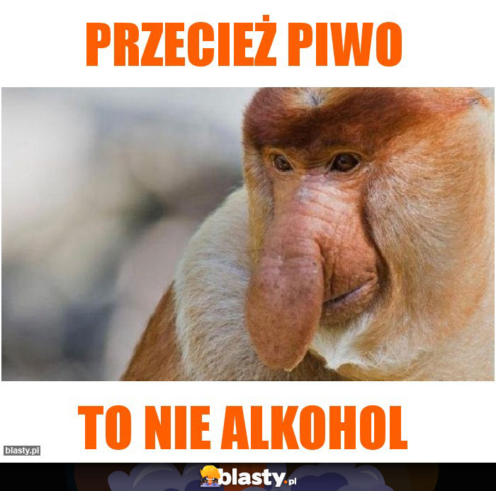 Przecież piwo