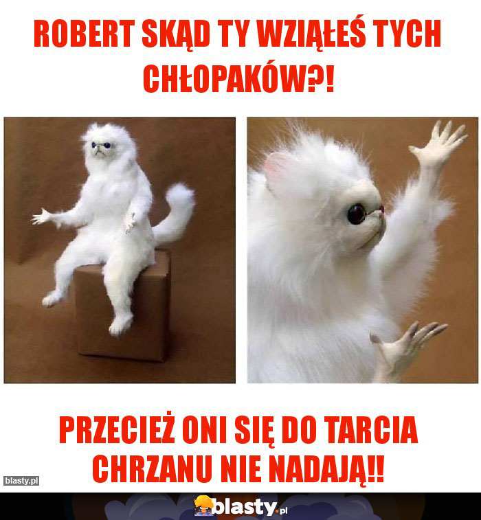 Robert skąd ty wziąłeś tych chłopaków?!