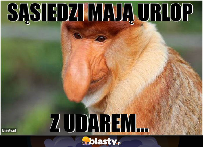 Sąsiedzi mają urlop