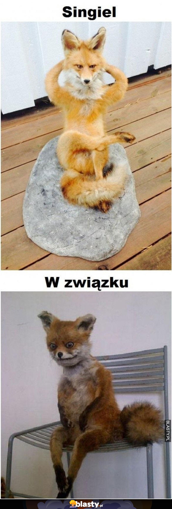 Singiel vs w związku