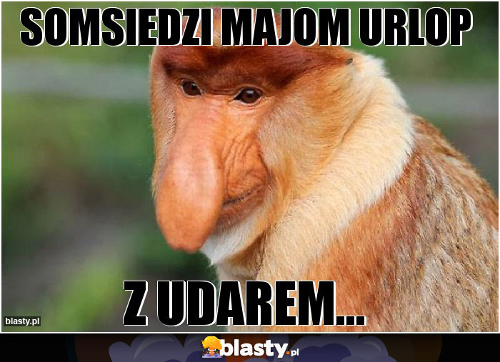 Somsiedzi majom urlop