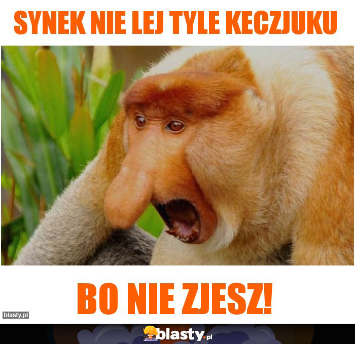 Synek nie lej tyle keczjuku