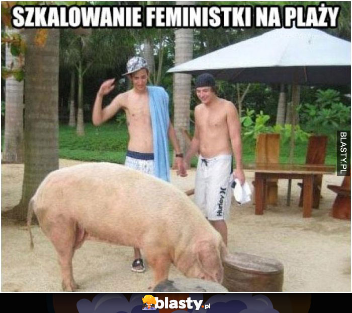 Szkalowanie feministek na plaży