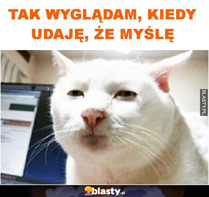 Tak wyglądam, kiedy udaję, że myślę