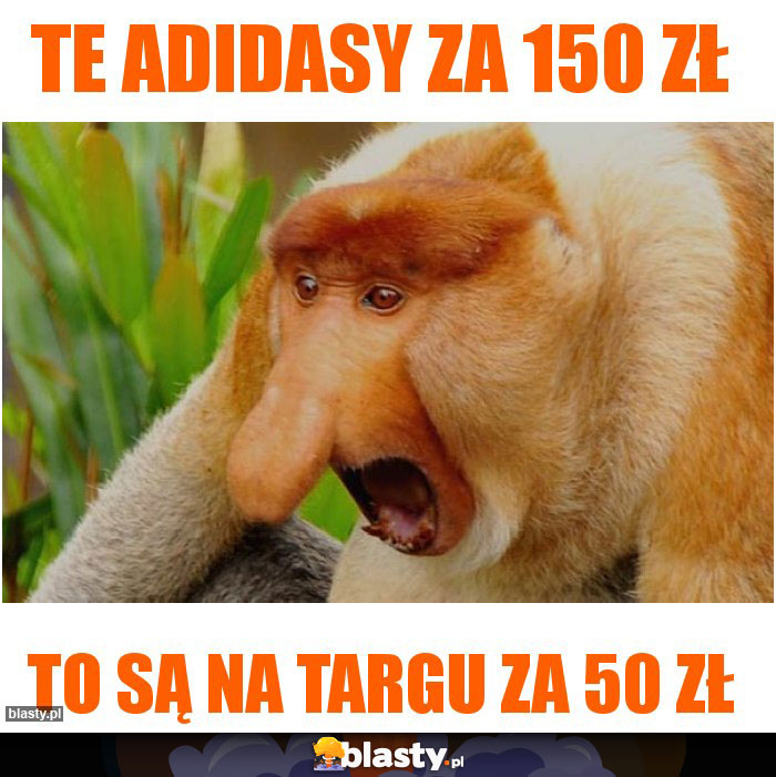 Te adidasy za 150 zł