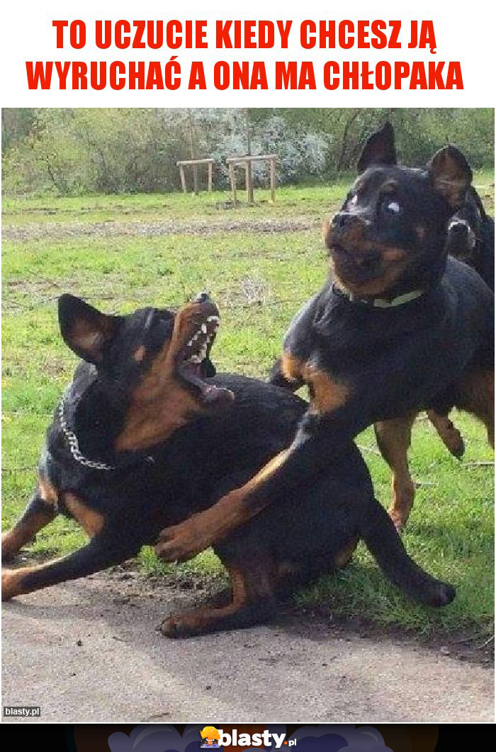 To uczucie kiedy chcesz ją wyruchać a ona ma chłopaka