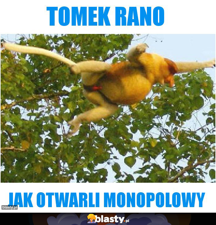 Tomek rano