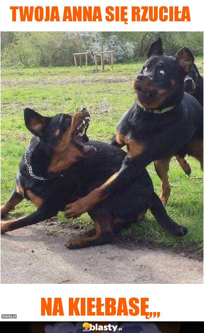 Twoja Anna się rzuciła