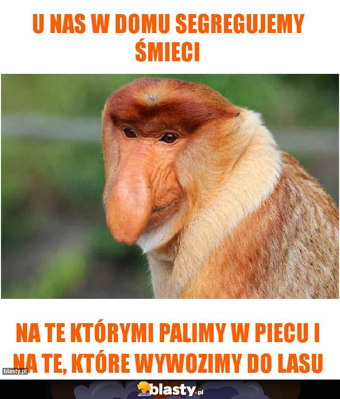 U nas w domu segregujemy śmieci