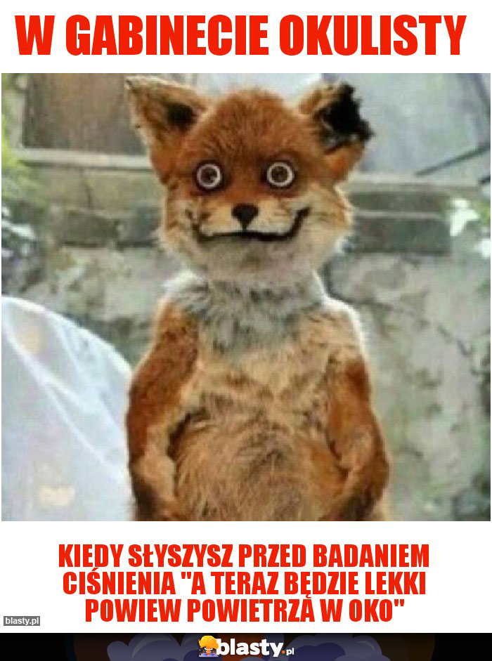 w Gabinecie okulisty