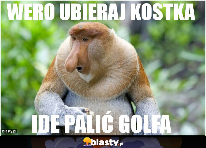 Wero ubieraj kostka