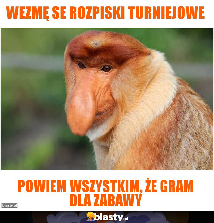 Wezmę se rozpiski turniejowe