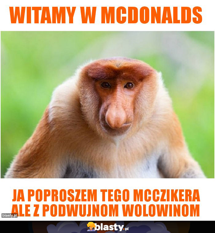 Witamy w McDonalds