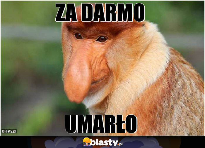 Za Darmo