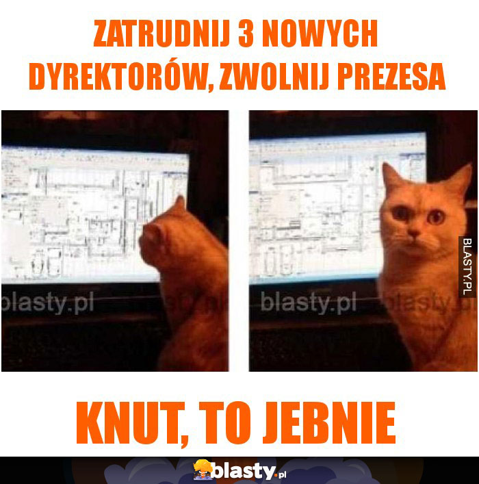 Zatrudnij 3 nowych dyrektorów, zwolnij prezesa