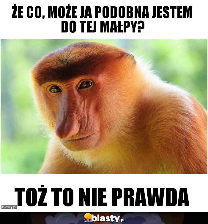 Że co, może ja podobna jestem do tej małpy?