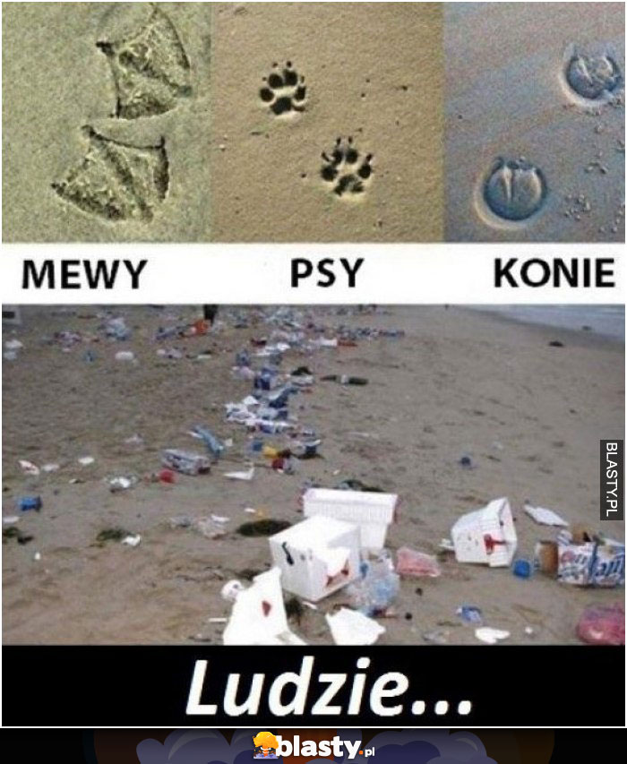 Znaki na plaży