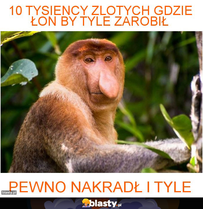 10 tysiency zlotych gdzie łon by tyle zarobił