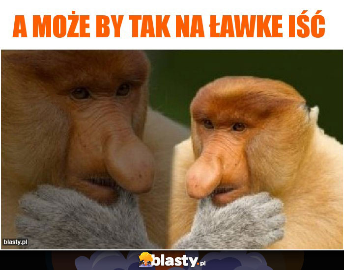 A może by tak na ławke iść