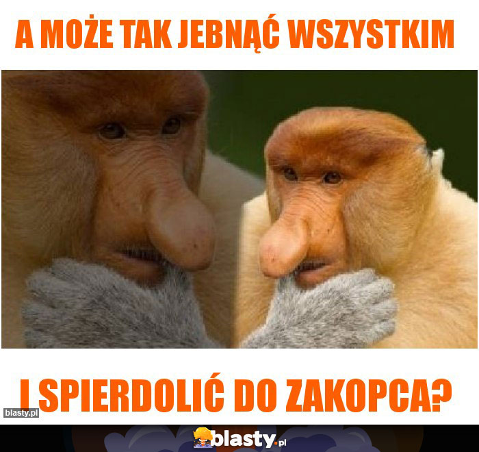 A może tak jebnąć wszystkim A może tak jebnąć wszystkim