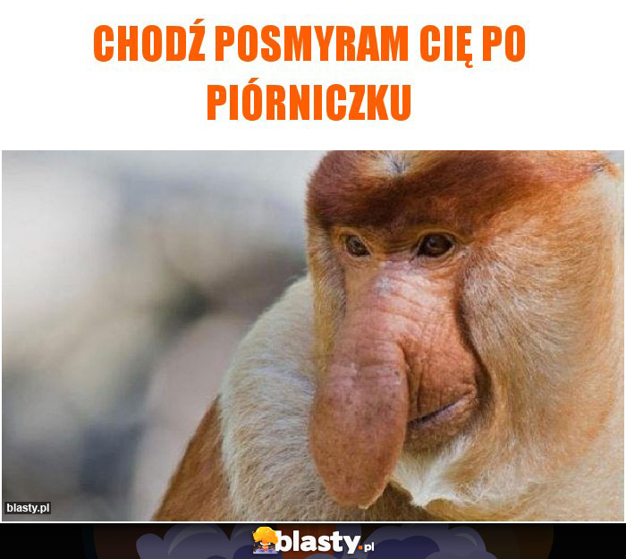 Chodź posmyram cię po piórniczku
