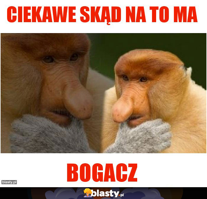 Ciekawe skąd na to ma