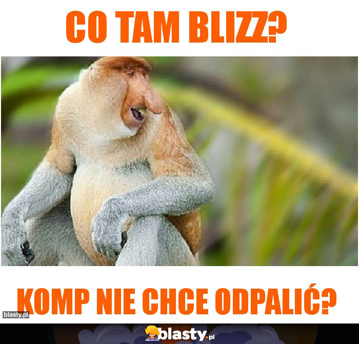 Co tam Blizz?