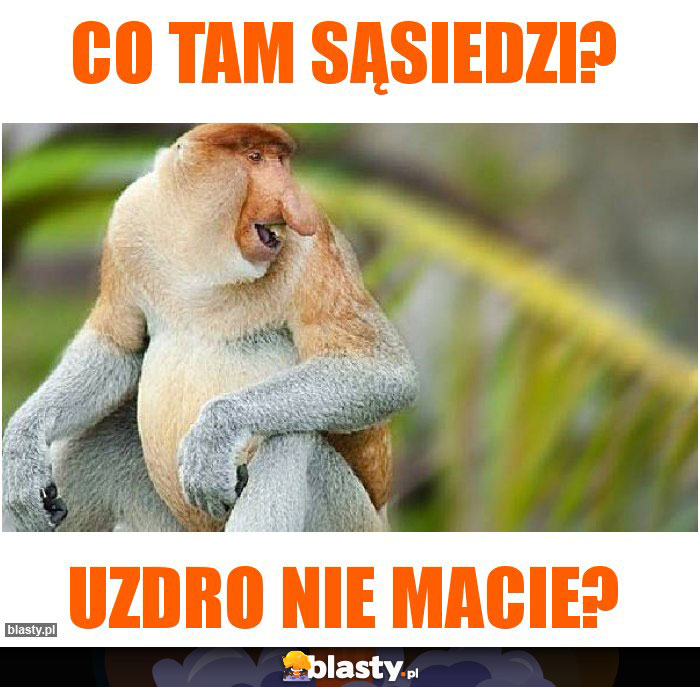 Co tam sąsiedzi?