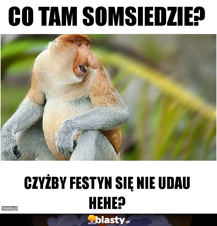 Co tam somsiedzie?