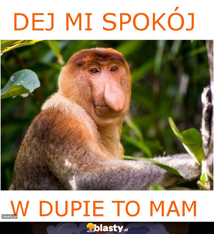 DEJ MI SPOKÓJ