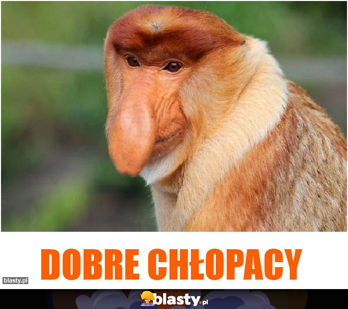 Dobre Chłopacy