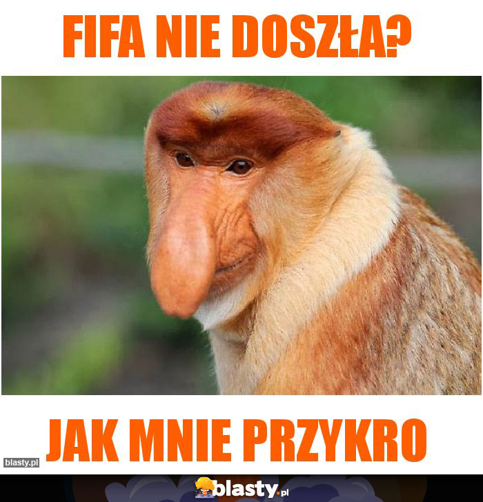 Fifa nie doszła?