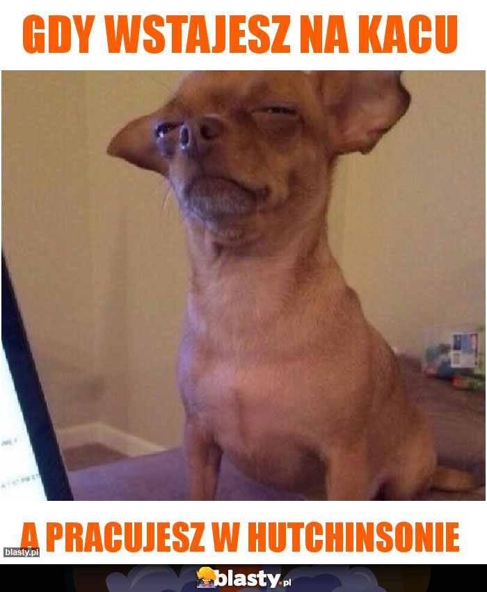 Gdy wstajesz na kacu