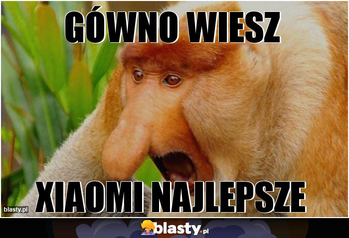 GÓWNO WIESZ