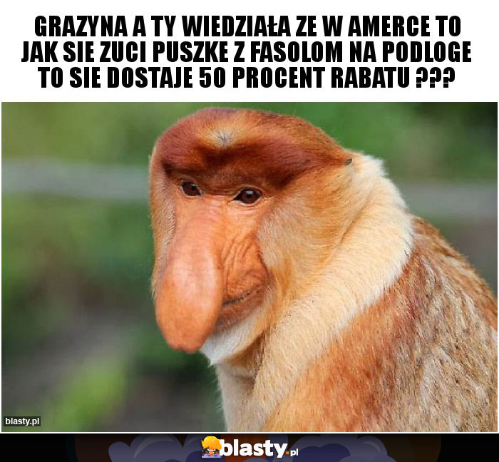 Grazyna a ty wiedziała ze w Amerce to jak sie zuci puszke z fasolom na podloge to sie dostaje 50 procent rabatu ???