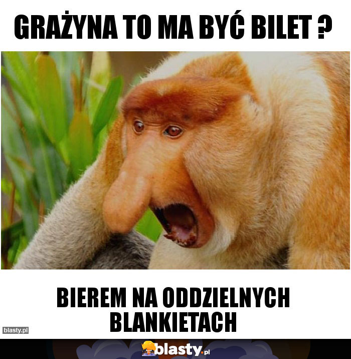 Grażyna to ma być bilet ?