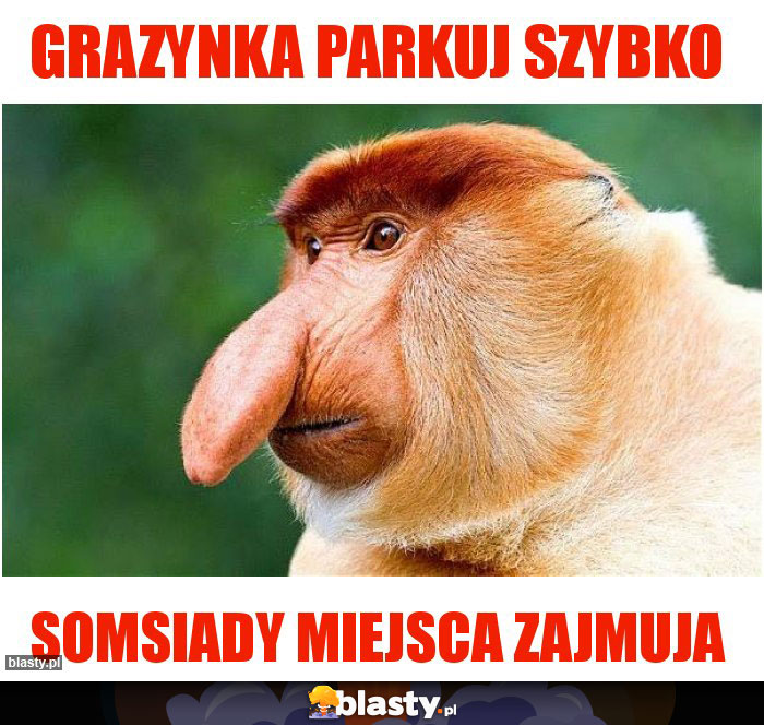 Grazynka parkuj szybko