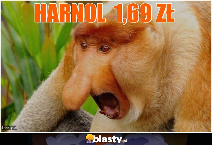 HARNOL  1,69 zł