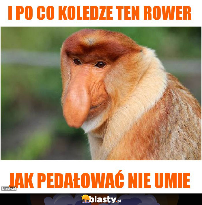 I po co koledze ten rower