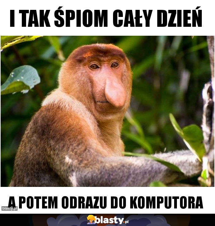 I TAK ŚPIOM CAŁY DZIEŃ