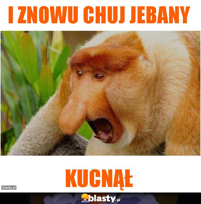 I znowu chuj jebany