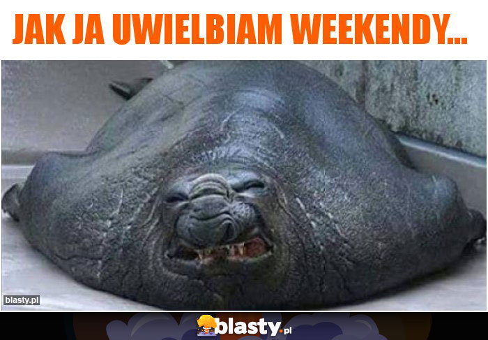 Jak Ja Uwielbiam weekendy...