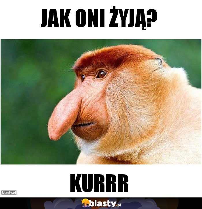 Jak oni żyją?
