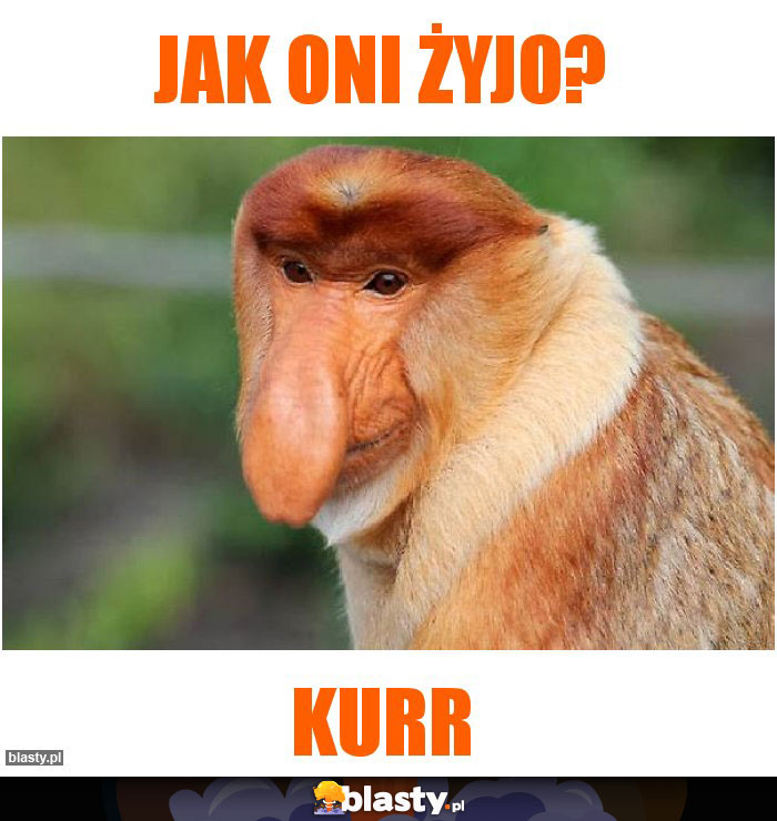 Jak oni żyjo?