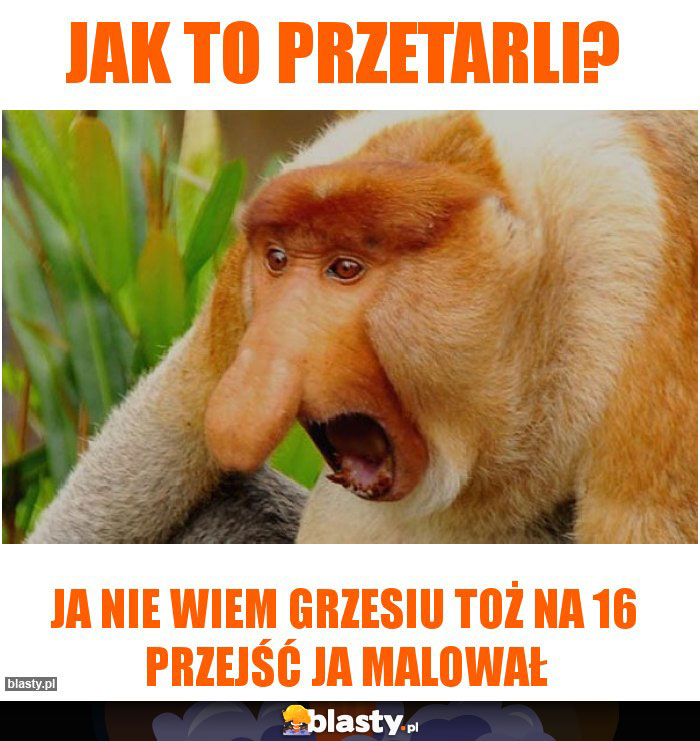 Jak to przetarli?