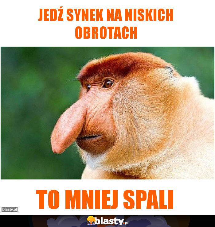 JEDŹ SYNEK NA NISKICH OBROTACH JEDŹ SYNEK NA NISKICH OBROTACH