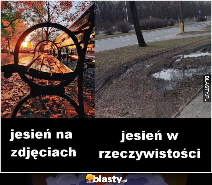 Jesień na zdjęciach