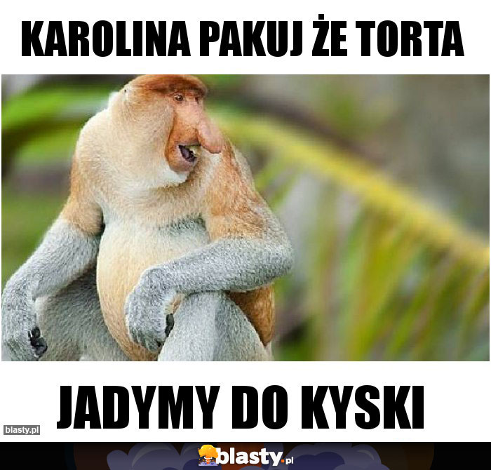 Karolina pakuj że torta